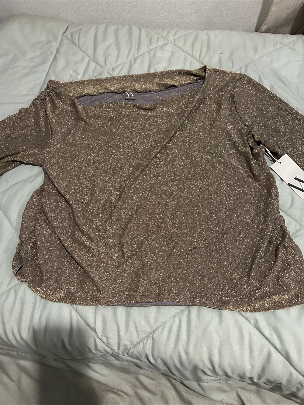 W by Worth Metallic Taupe Long-Sleeve Tee